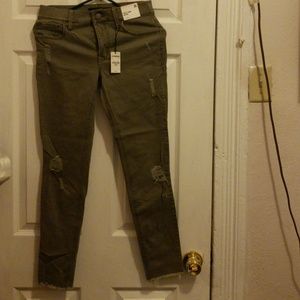 Express pants